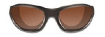 AIRRAGE OUTDOOR CLIMATE CONTROL BRONZE FLASH LENS CRYSTAL BRONZE FRAME