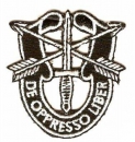 SFG Crest Specops Patch Beret flash