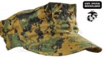 US woodland Digital MCCUU woodland Cover