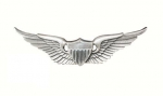 US ARMY AVIATOR WING