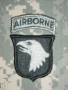 101st Airborne Divison Screaming Eagles foliage green