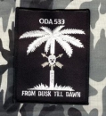 ODA 533  Special Forces C Company 1st Bn 5th SFG