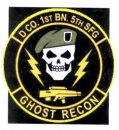 1st BN 5th Special Forces D COMPANY Ghost Recon