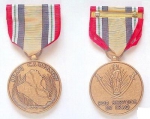 US ARMY Iraq Campaign Medal Orden