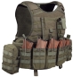 Mobile Preview: Warrior Raptor Plate Carrier AK 47 / 74 Coyote