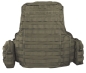 Mobile Preview: Warrior Raptor Plate Carrier AK 47 / 74 Coyote