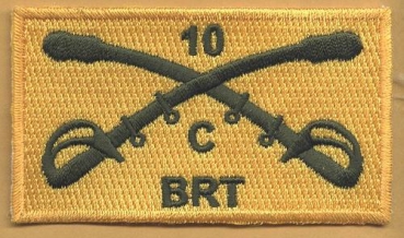 10th Cavalry Brigade Reaction Team Patch