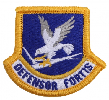 US Air Force Security Forces Flash Patch