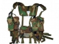 Preview: US ARMY CAMO TACTICAL ENHANCED LOAD BEARING VEST LBV NEU