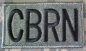 Preview: CBRN ACU Patch foliage green