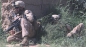 Preview: US Marines MARPAT desert FROG Combat coat