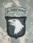 Preview: 101st Airborne Divison Screaming Eagles foliage green