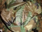 Preview: US Army Field Training Waist Utility Pack LBV ALICE Woodland Camouflage