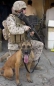 Preview: US Marine Corps MARPAT Desert Digital Tarnhose