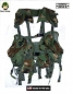 Preview: US ARMY TACTICAL ENHANCED LOAD BEARING VEST LBV WOODLAND CAMOUFLAGE