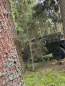 Preview: Brit. Tarnnetz 3 x 5 m DPM Camouflage feuerhemmend