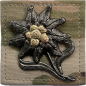 Preview: Bundeswehr BW EDELWEIß Gebirgsjäger Multicam Velcro Abzeichen