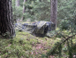 Preview: AB Utility Mesh Fabric IR Skarpo 140 x 280 cm M84 Woodland