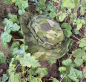 Preview: AB Kabano Boonie IRR MultiCam® Tropic™