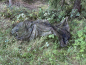 Preview: AB Utility Mesh Fabric IR Skarpo 140 x 280 cm 5FTD BW Flecktarn