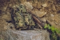 Preview: Helikon Tex Bergen Backpack® - Duck Hunter