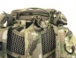 Preview: Eberlestock H31 Bandit Coyote