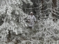 Preview: Snow Camo ECWCS Cold Weather Regenjacke mit Kapuze