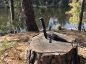 Preview: Hultafors Outdoormesser OK4