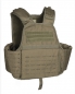 Preview: LASER CUT CARRIER MOLLE WESTE OLIV