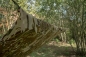 Preview: Recon Mehrzweckplane Tarp Spezialkräfte MTP mit IRR Beschichtung