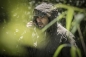 Preview: Carinthia PRG Jacket Oliv