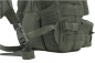 Preview: Warrior Elite Ops 3 Day Assault Pegasus Pack OD Green