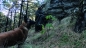 Preview: Snugpak Insulated Jungle Blanket OLIV