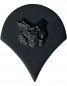 Preview: US Army Specialist Rank Insignia BDU Abzeichen subdued