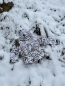 Preview: Snow Camo ECWCS Cold Weather Regenjacke mit Kapuze