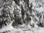 Preview: TACGEAR Smock Version II Schneetarn