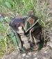 Preview: HELIKON TEX ESSENTIAL KITBAG® - Cordura® - US Woodland Camouflage