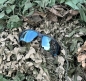 Preview: OAKLEY SI Speed Jacket Satin Black / Prizm Deep Polarized
