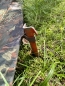 Preview: US ARMY Aluminium Zelt Hering Orange