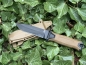 Preview: Gerber STRONGARM Coyote