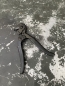 Preview: US Army Wire Cutter M1938 (REPRO)
