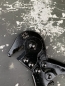 Preview: US Army Wire Cutter M1938 (REPRO)