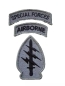 Preview: 10th Special Forces Airborne UCP ACU Patch - Foliage Green