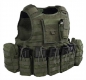 Preview: Warrior Assault Systems Raptor Plate Carrier G36 Oliv