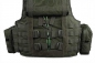 Preview: Warrior Assault Systems Raptor Plate Carrier G36 Oliv