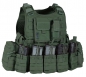Preview: Warrior RICAS Compact G36 Plate Carrier Oliv