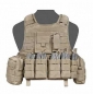 Preview: Warrior Raptor Plate Carrier DA 5.56 G36 Coyote