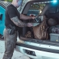 Preview: Eberlestock X41 HiSpeed Pack II Coyote