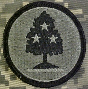 Nationalgarde ARNG TENNESSEE ACU Patch Abzeichen