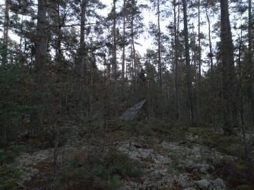 Helikon Tex SUPERTARP Small® PL Woodland Camouflage